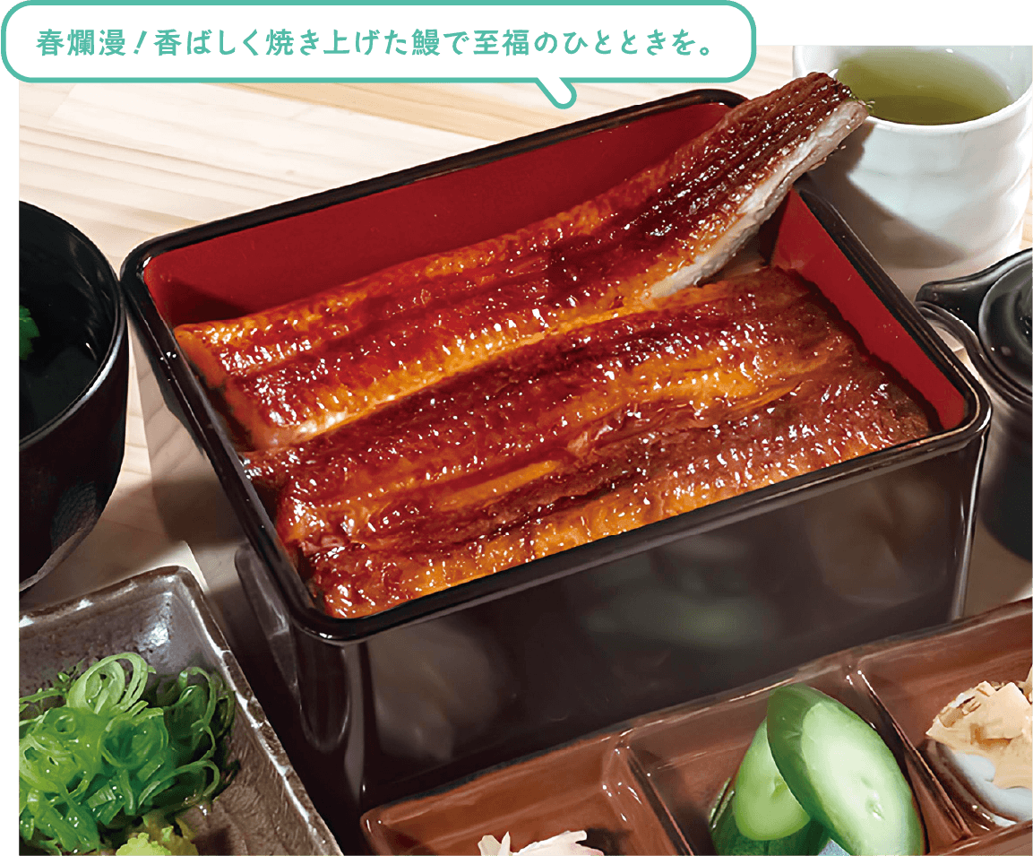 春爛漫！香ばしく焼き上げた鰻で至福のひとときを。