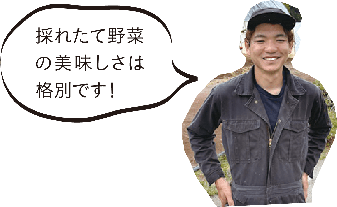 採れたて野菜の美味しさは格別です!