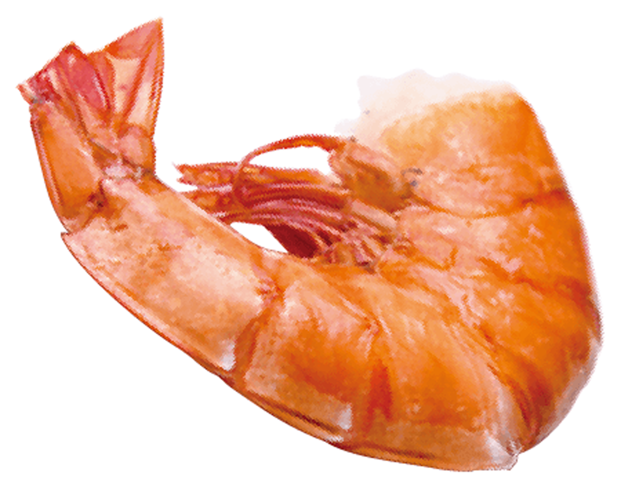 エビの塩焼き