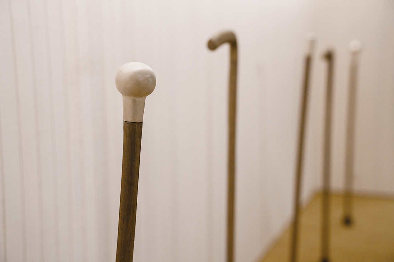 ステッキの写真
