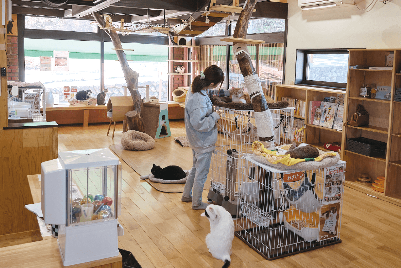 就労継続支援B型事業所〈にゃんliving〉　室内