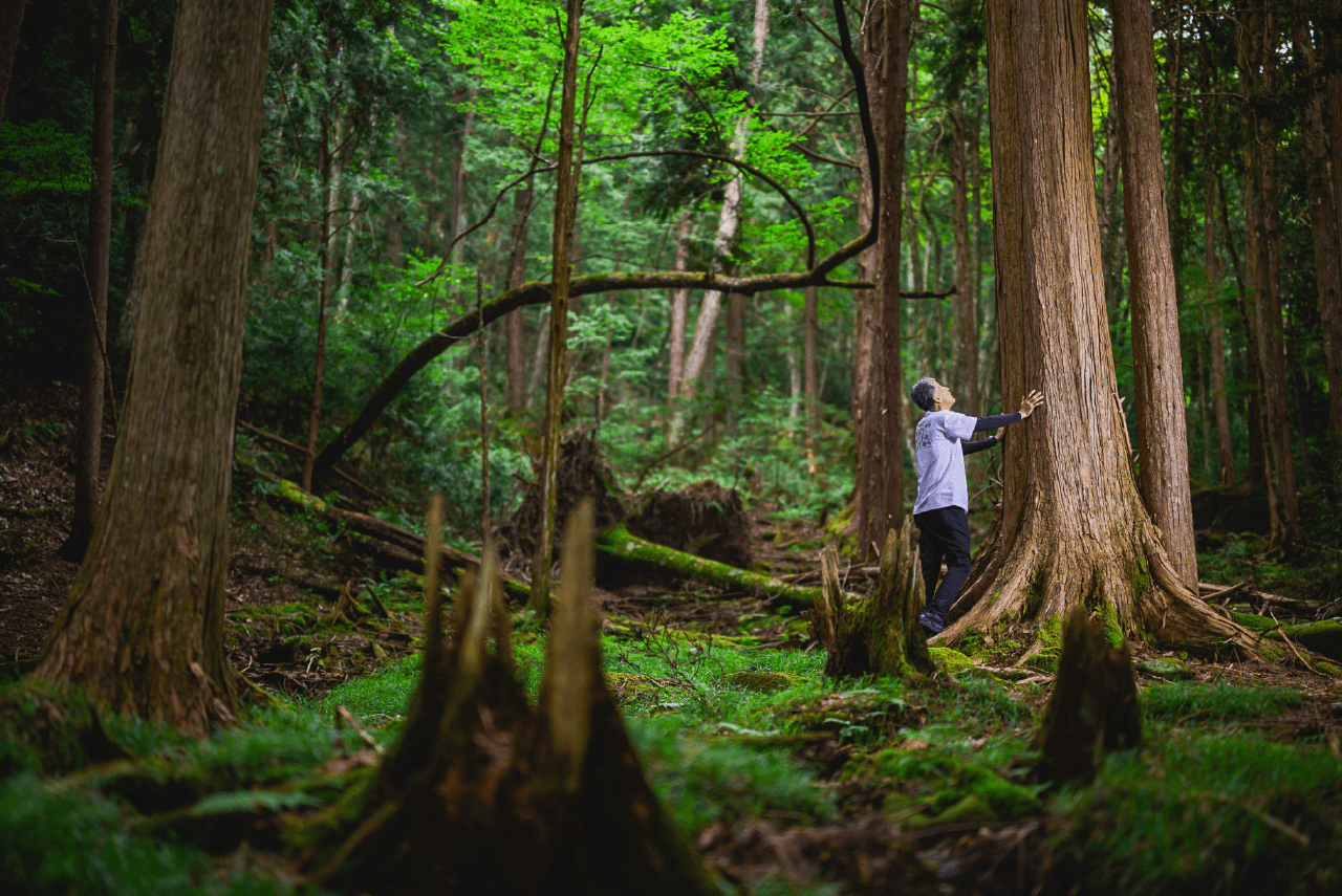 アルコピアマウンテンパーク　自然の中