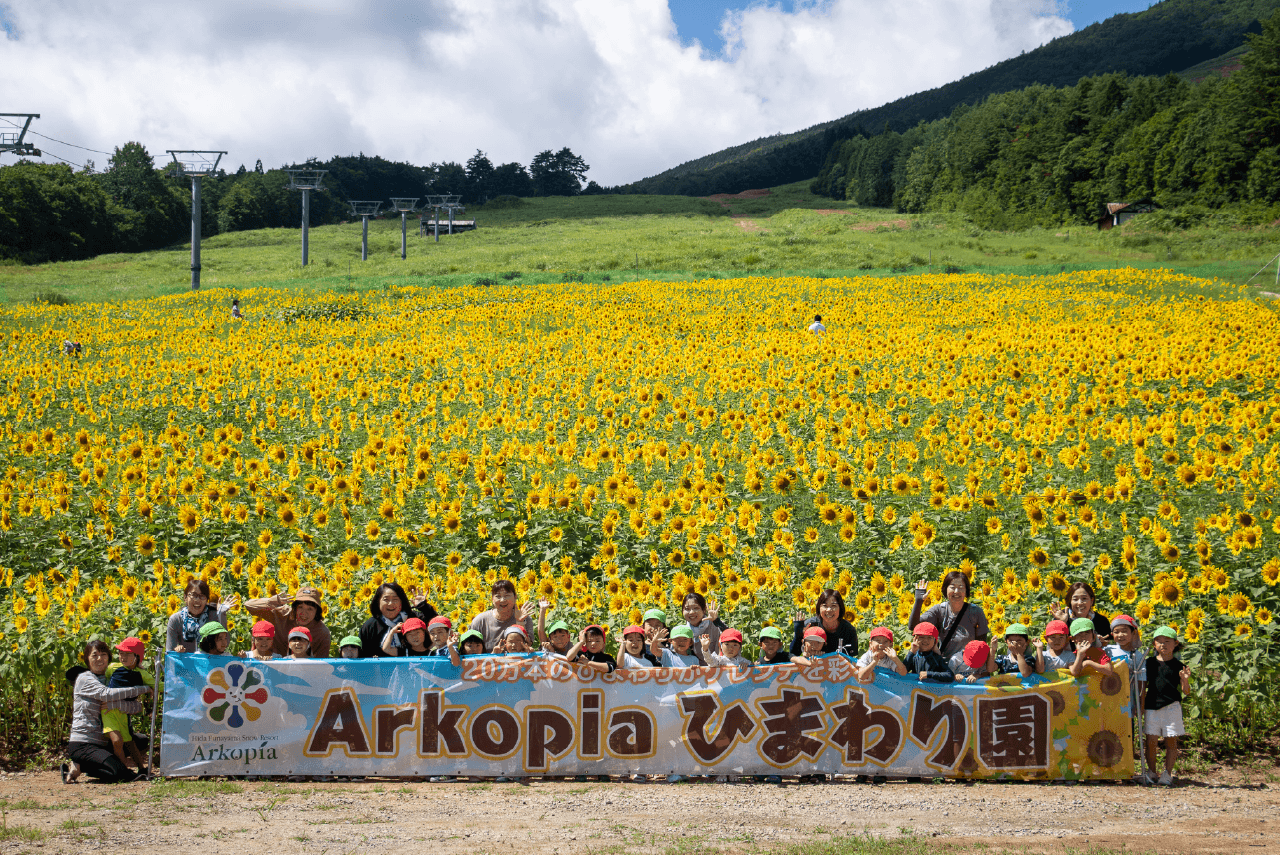 アルコピアマウンテンパーク　ひまわり
