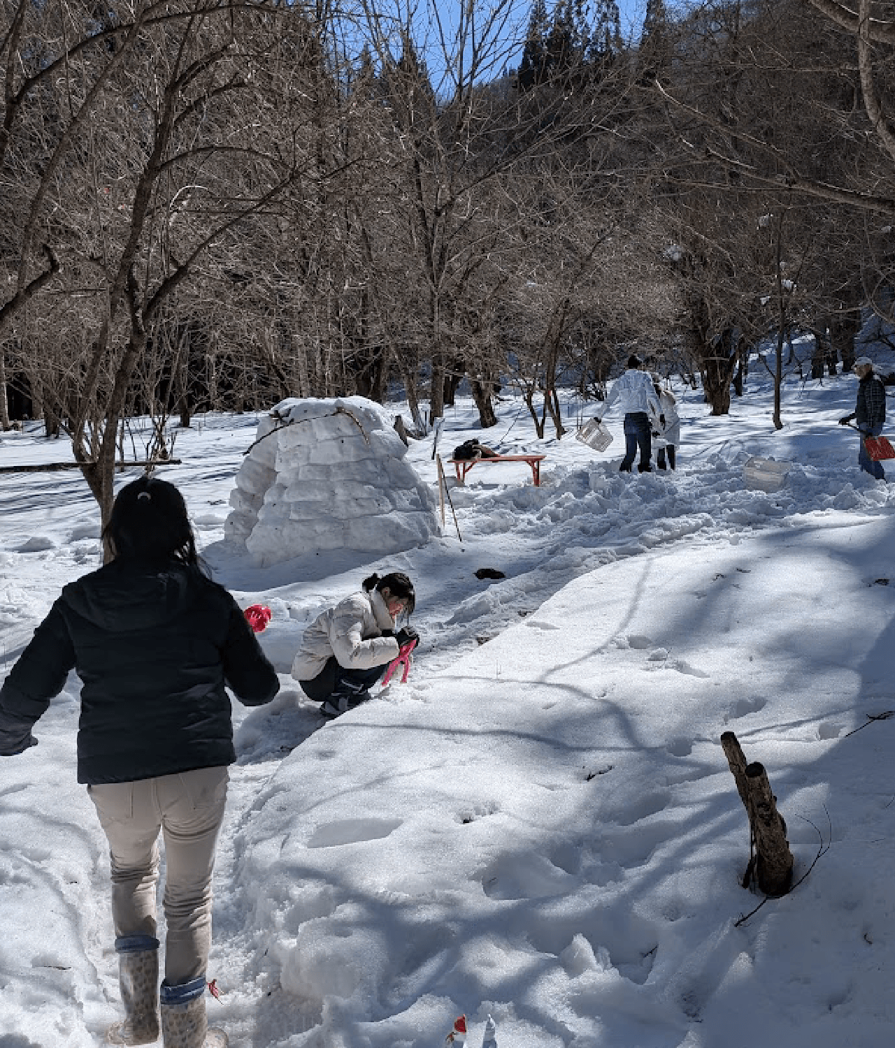 福地温泉 来福の森　冬　雪遊び